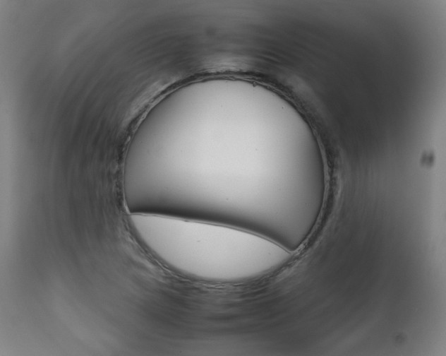 X0000112091217200908041040