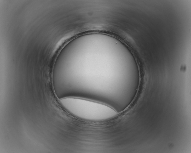 X0000112091218200908041040