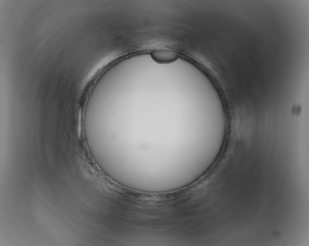 X0000112091219200908041040