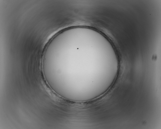 X0000112091220200908041040