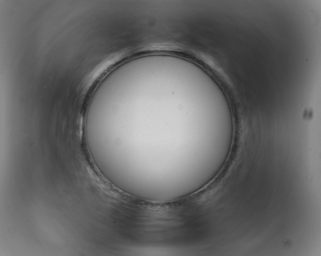 X0000112091221200908041040