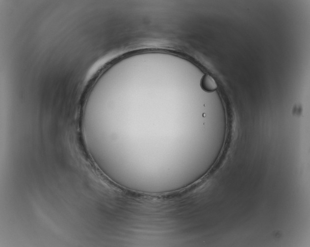 X0000112091222200908041040