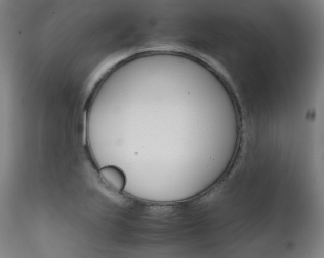 X0000112091223200908041040