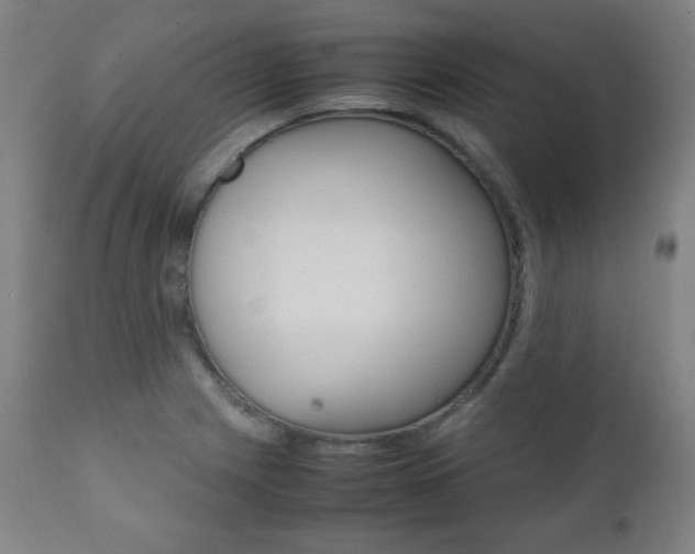 X0000112091225200908041040