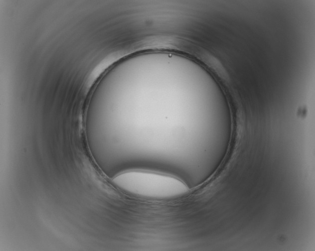 X0000112091226200908041040