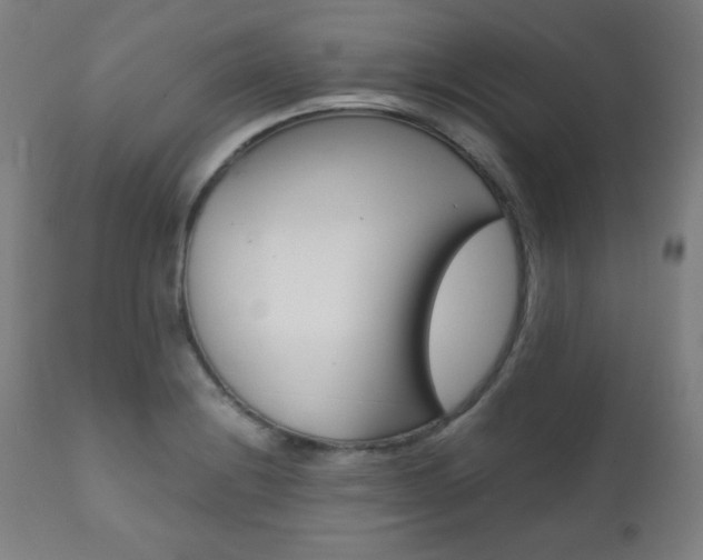 X0000112091228200908041040