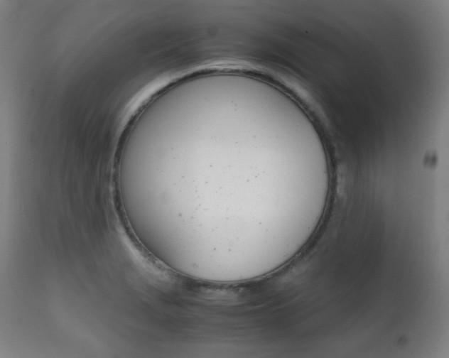 X0000112091229200908041040
