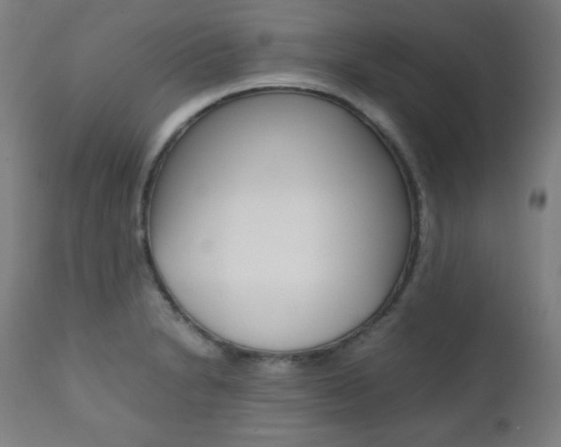X0000112091230200908041040