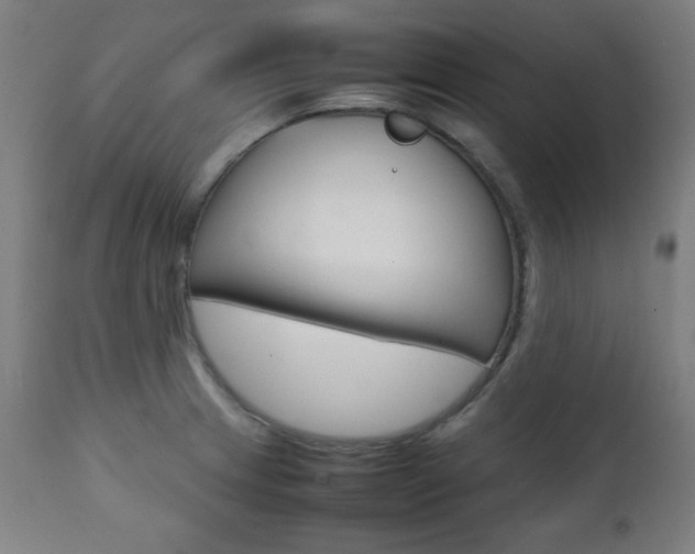 X0000112091233200908041040