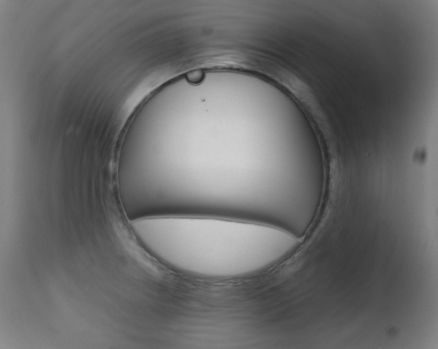 X0000112091234200908041040