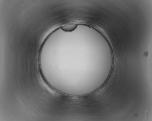 X0000112091235200908041040