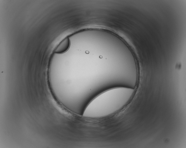 X0000112091237200908041040