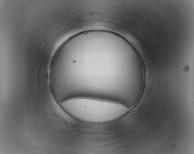 X0000112091238200908041040