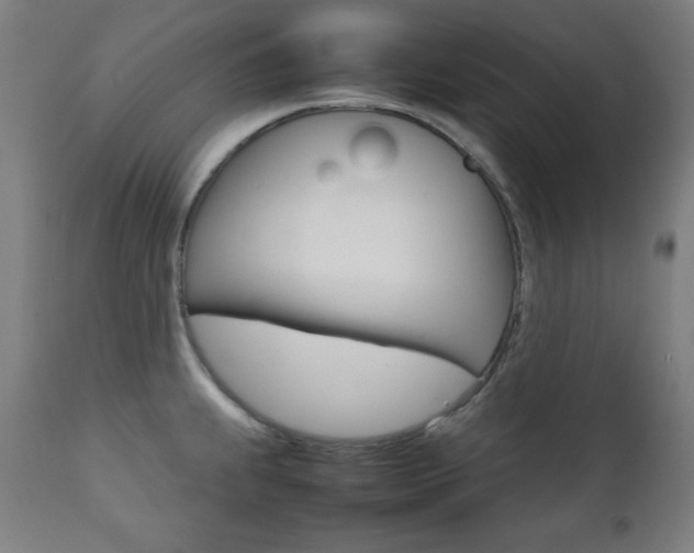X0000112091239200908041040