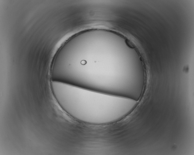 X0000112091240200908041040