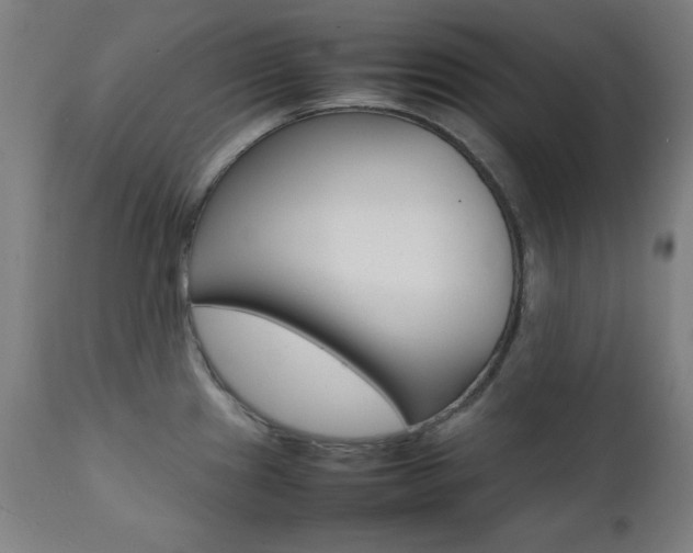 X0000112091241200908041040