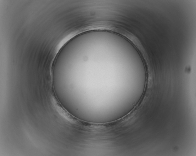 X0000112091242200908041040