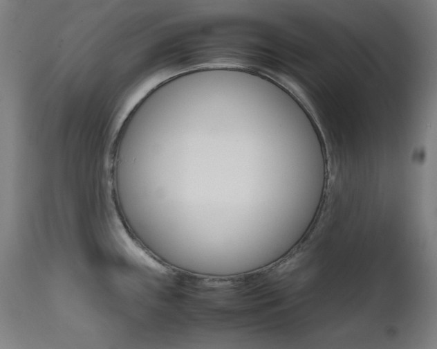 X0000112091243200908041040