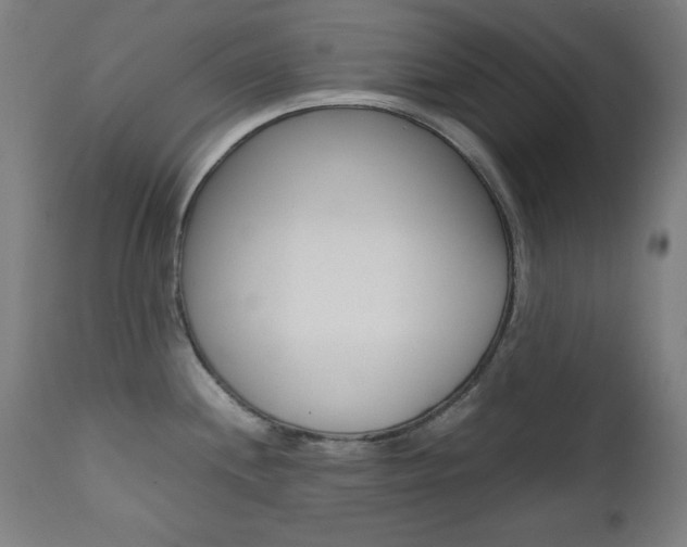 X0000112091244200908041040