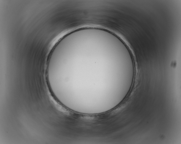 X0000112091245200908041040