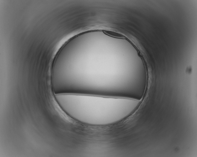 X0000112091246200908041040