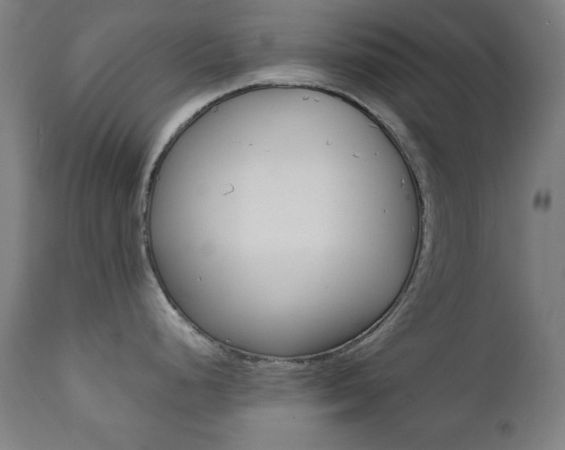 X0000112091248200908041040