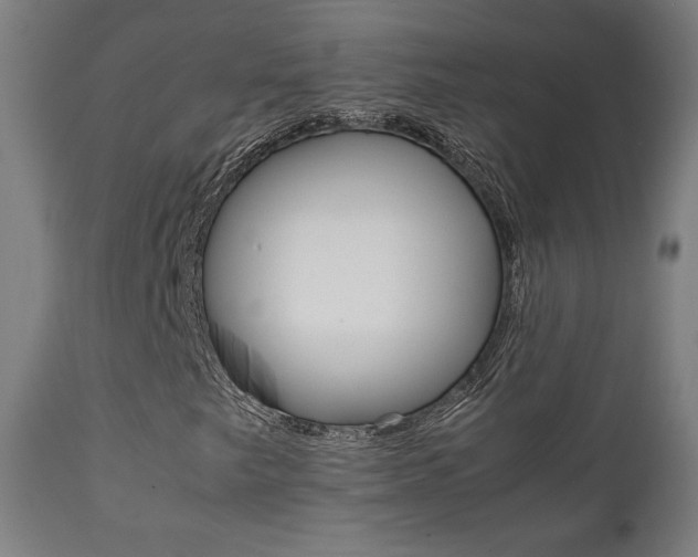 X0000112091249200908041040
