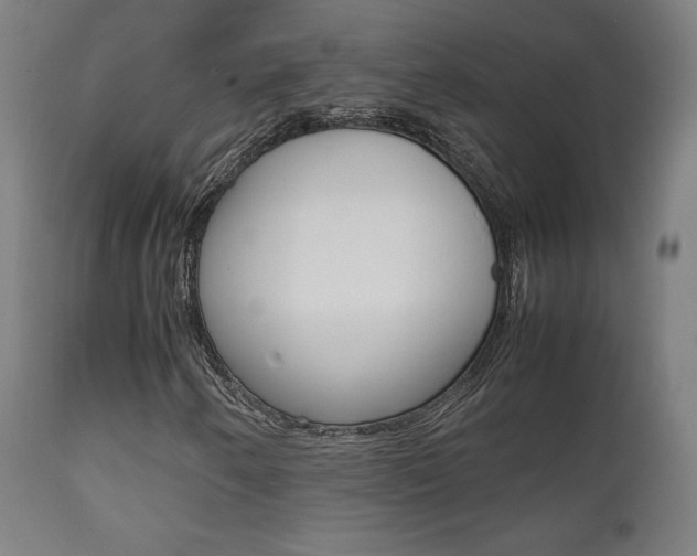 X0000112091250200908041040