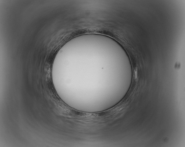 X0000112091251200908041040