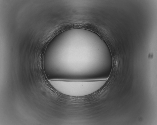 X0000112091252200908041040