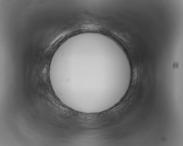 X0000112091254200908041040