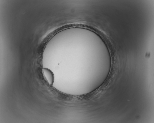 X0000112091255200908041040