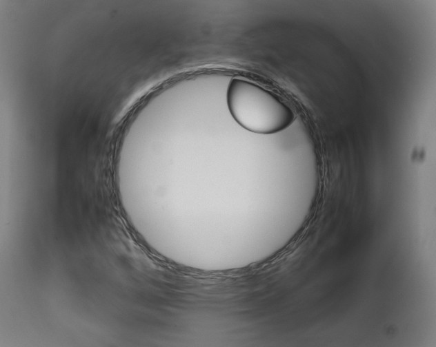 X0000112091256200908041040