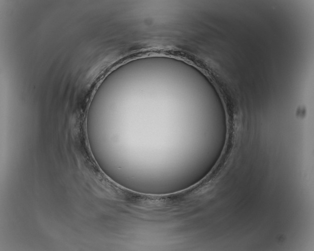 X0000112091257200908041040