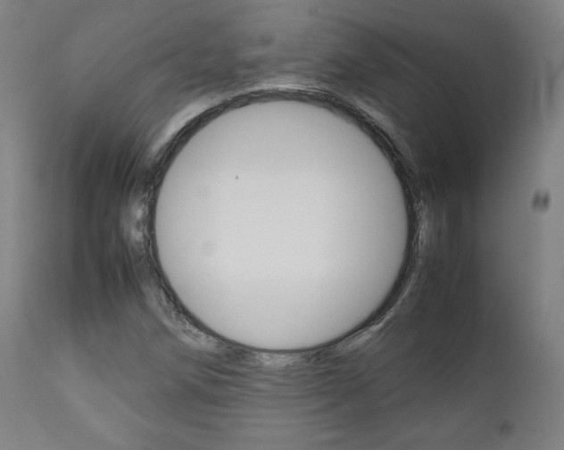 X0000112091258200908041040