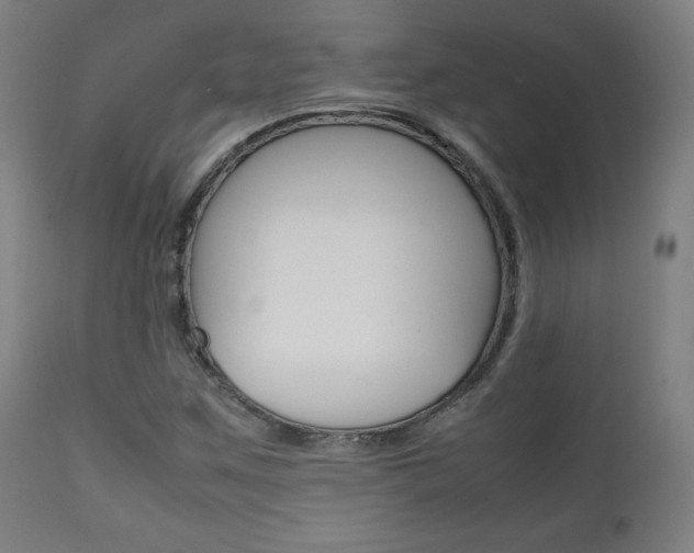 X0000112091259200908041040