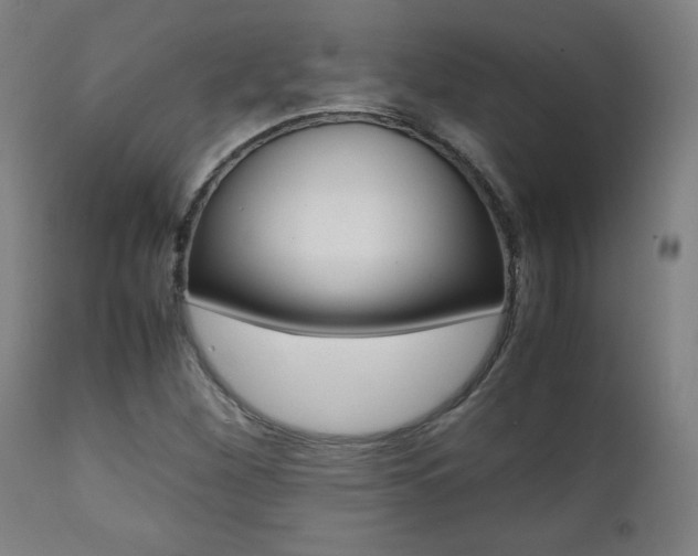 X0000112091260200908041040