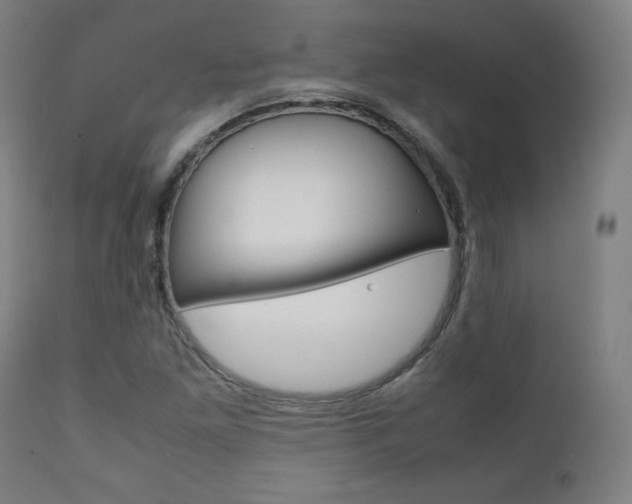 X0000112091261200908041040