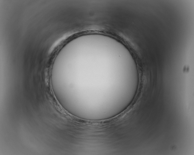 X0000112091262200908041040