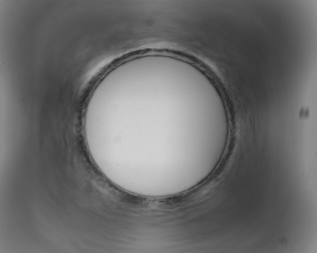 X0000112091263200908041040