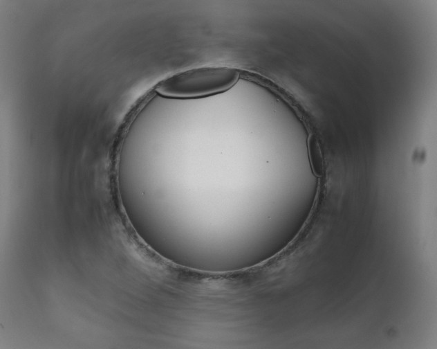 X0000112091264200908041040