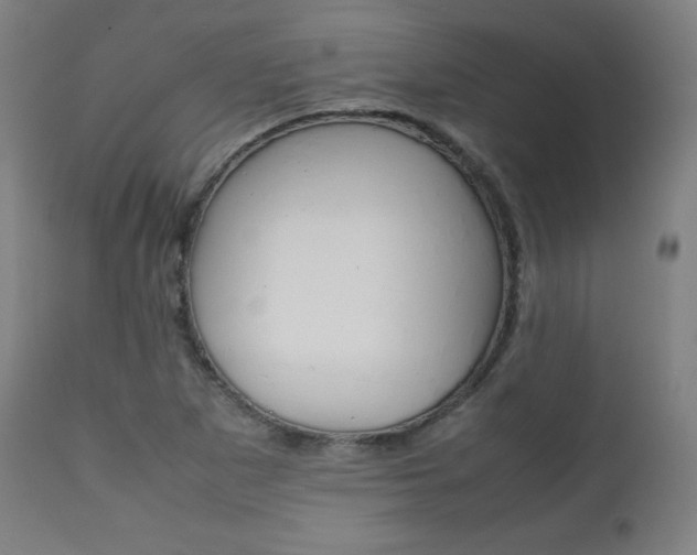 X0000112091265200908041040