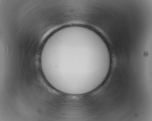 X0000112091266200908041039