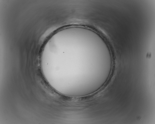 X0000112091267200908041039