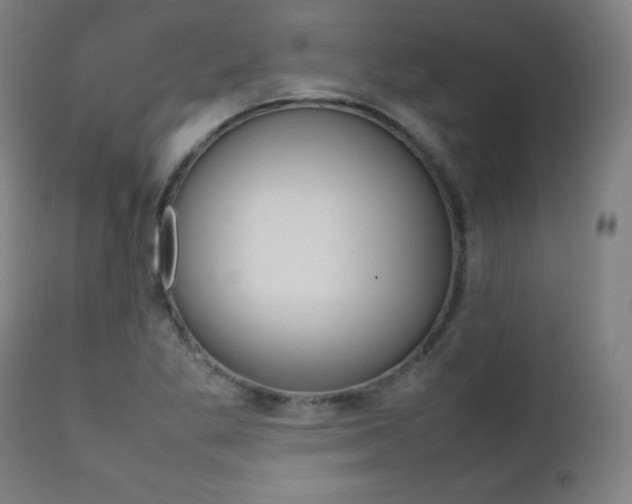 X0000112091269200908041039