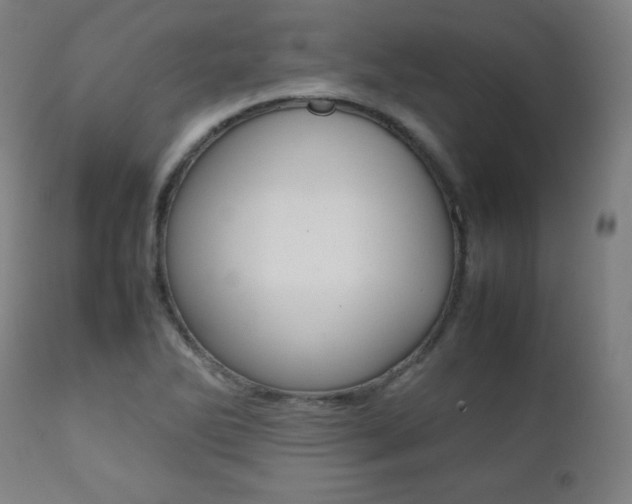 X0000112091270200908041039