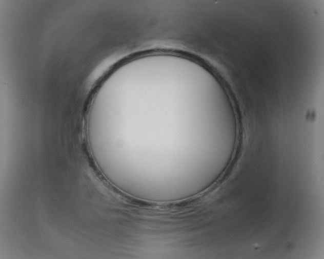 X0000112091271200908041039