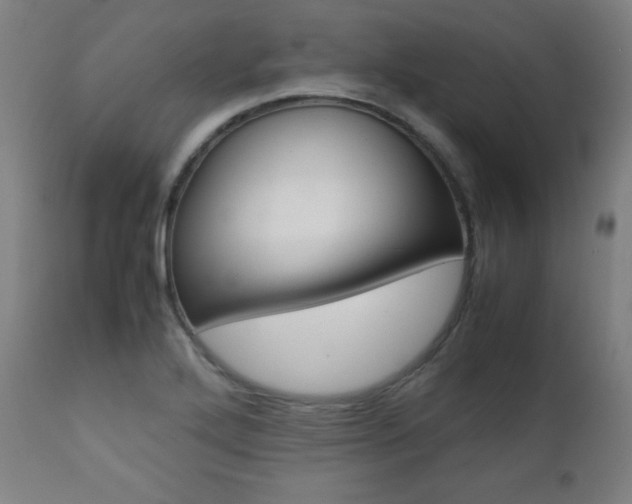 X0000112091272200908041039