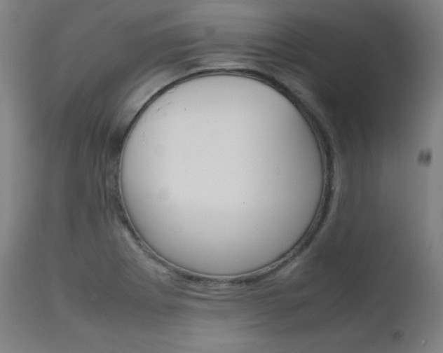 X0000112091273200908041039
