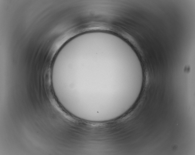 X0000112091274200908041039